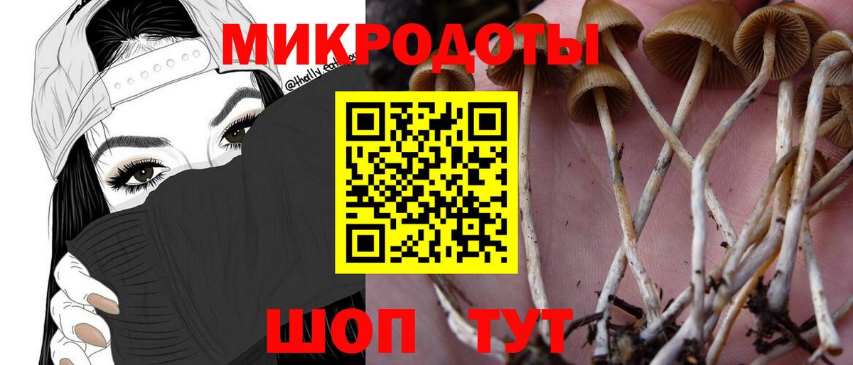 Галлюциногенные грибы мицелий Чусовой