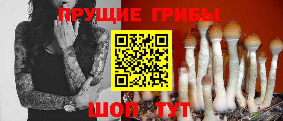 Чусовой  Галлюциногенные грибы Magic Shrooms  Вход с VPN  Галлюциногенные грибы Magic Shrooms 